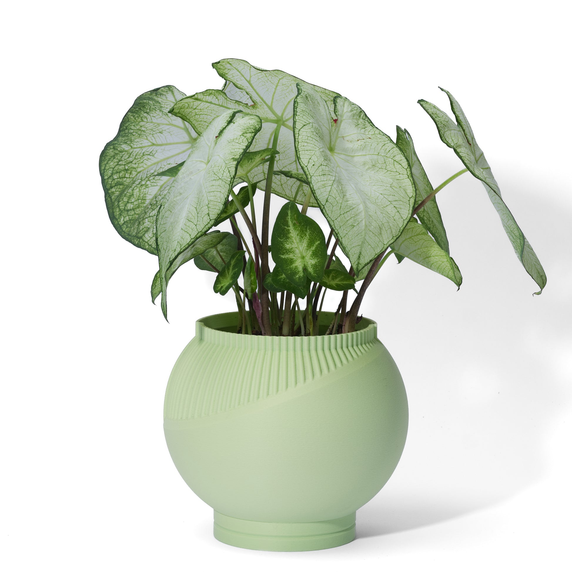 A mint green 3D printed planter pot with a green leaf plant in it displayed on a white background