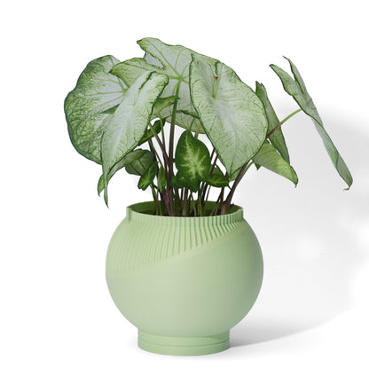 A mint green 3D printed planter pot with a green leaf plant in it displayed on a white background